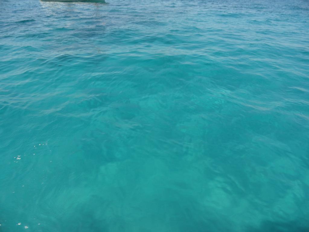 Casa Vacanze Laura Isola delle Femmine Esterno foto